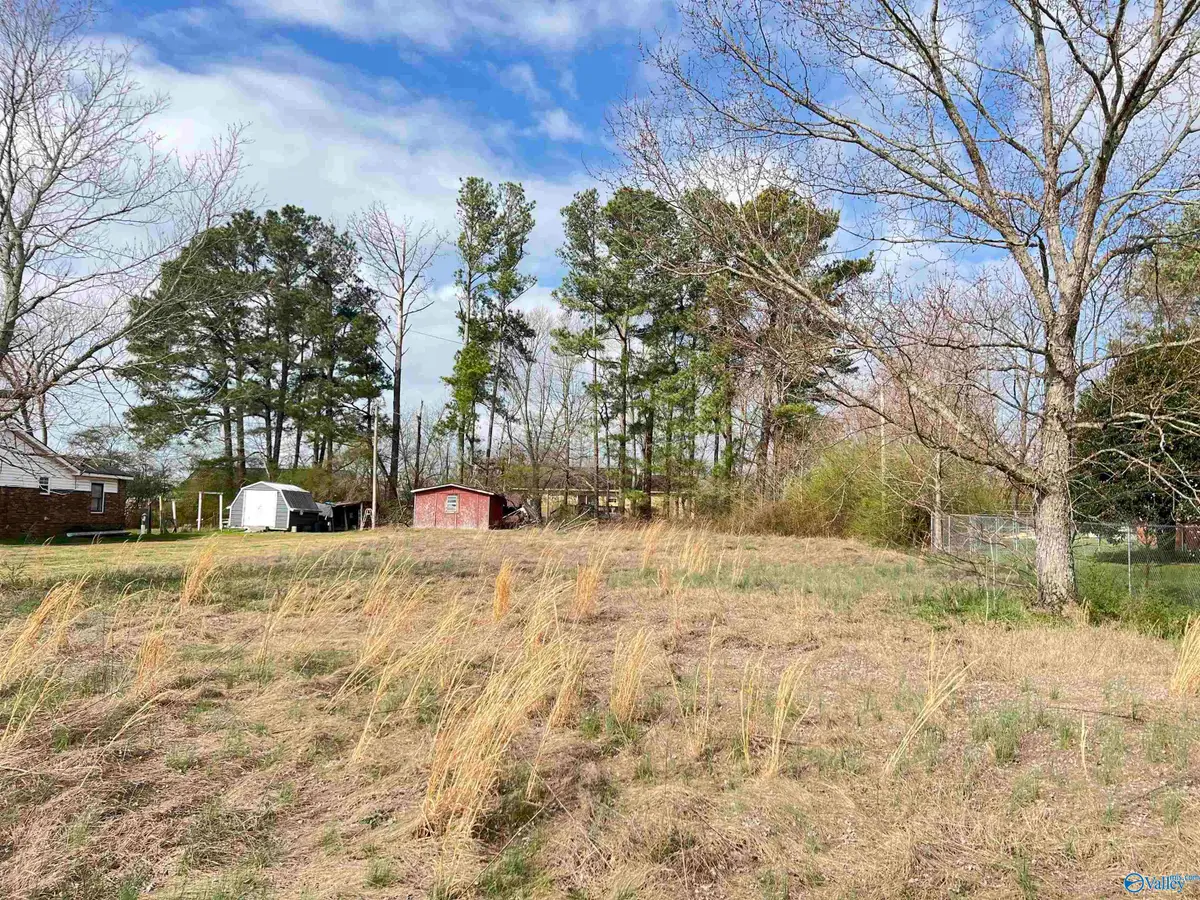 9.003 Moe Street, Rainsville, AL 35986 - #1