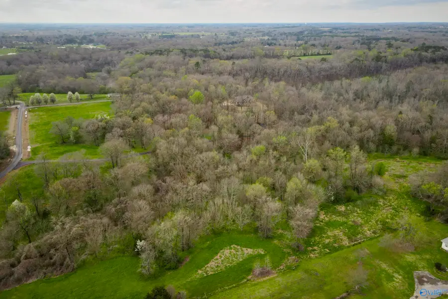 75 Marvin Brown Road, Danville, AL 35619 - #3