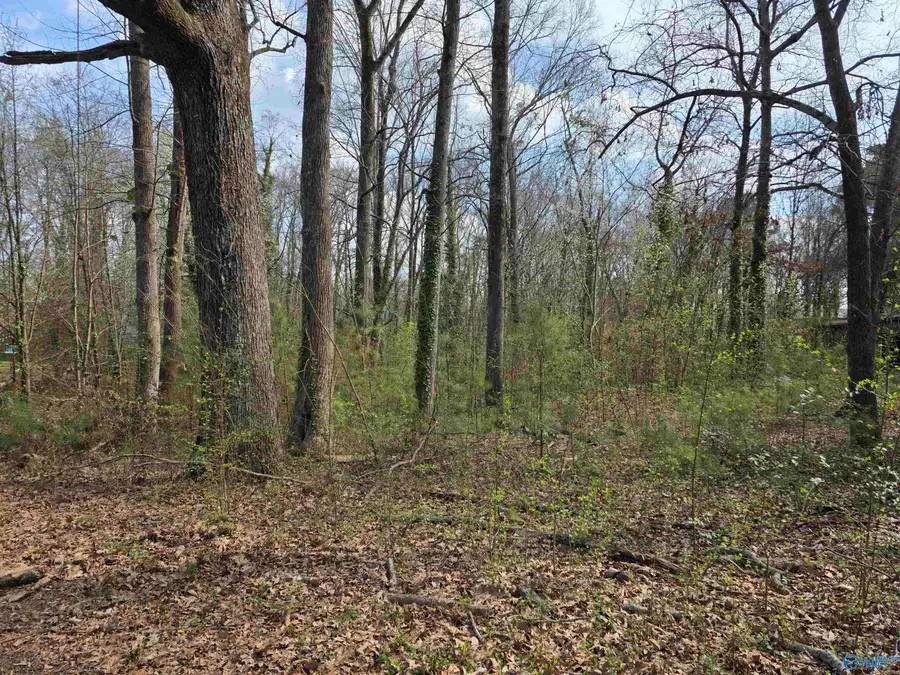 130 County Road 426, Centre, AL 35960 - #2