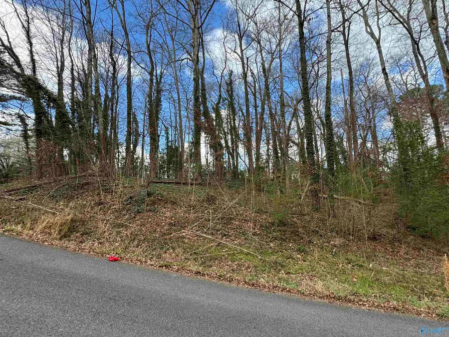 1.5 acres Whippoorwill Lane, Albertville, AL 35950 - #2