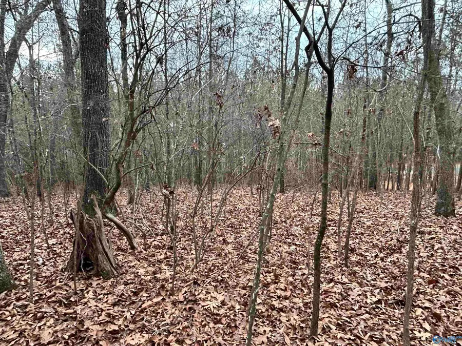 2.85 +/- Acres County Road 686, Cedar Bluff, AL 35959 - #3