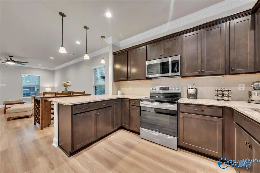 24414 Bekah Lane, Toney, AL 35773 - #3