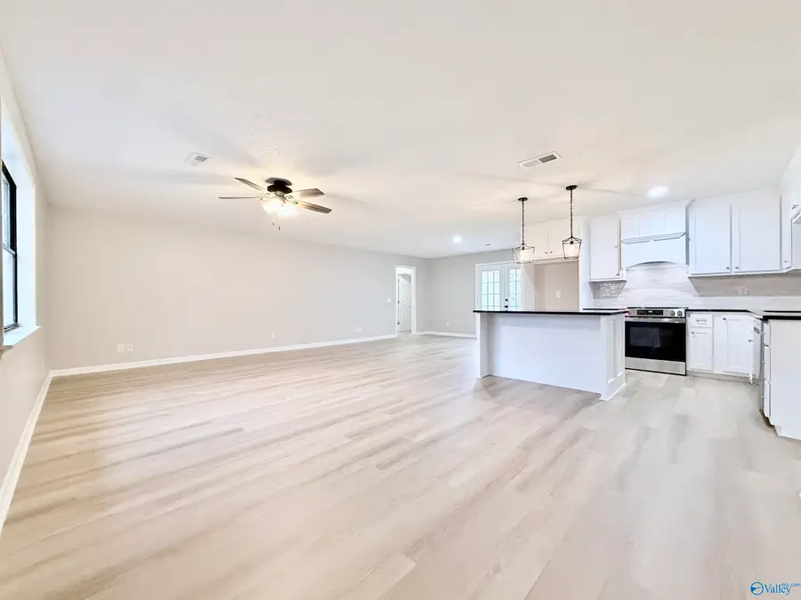 1025 Jones Street, Albertville, AL 35950 - #3