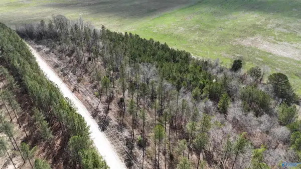 15 County Road 175, Piedmont, AL 36272