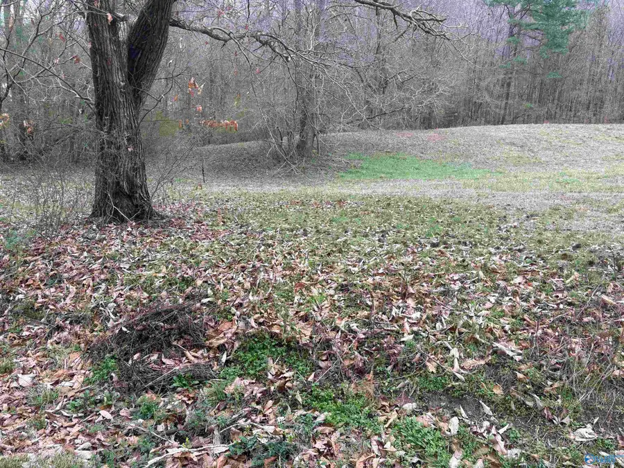 2283 Fowlers Ferry Road, Southside, AL 35907 - #2