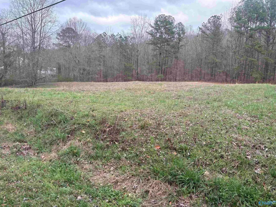 2283 Fowlers Ferry Road, Southside, AL 35907 - #3