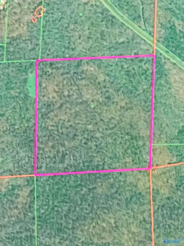 40 Acres Cherry Tree Road, Gurley, AL 35748