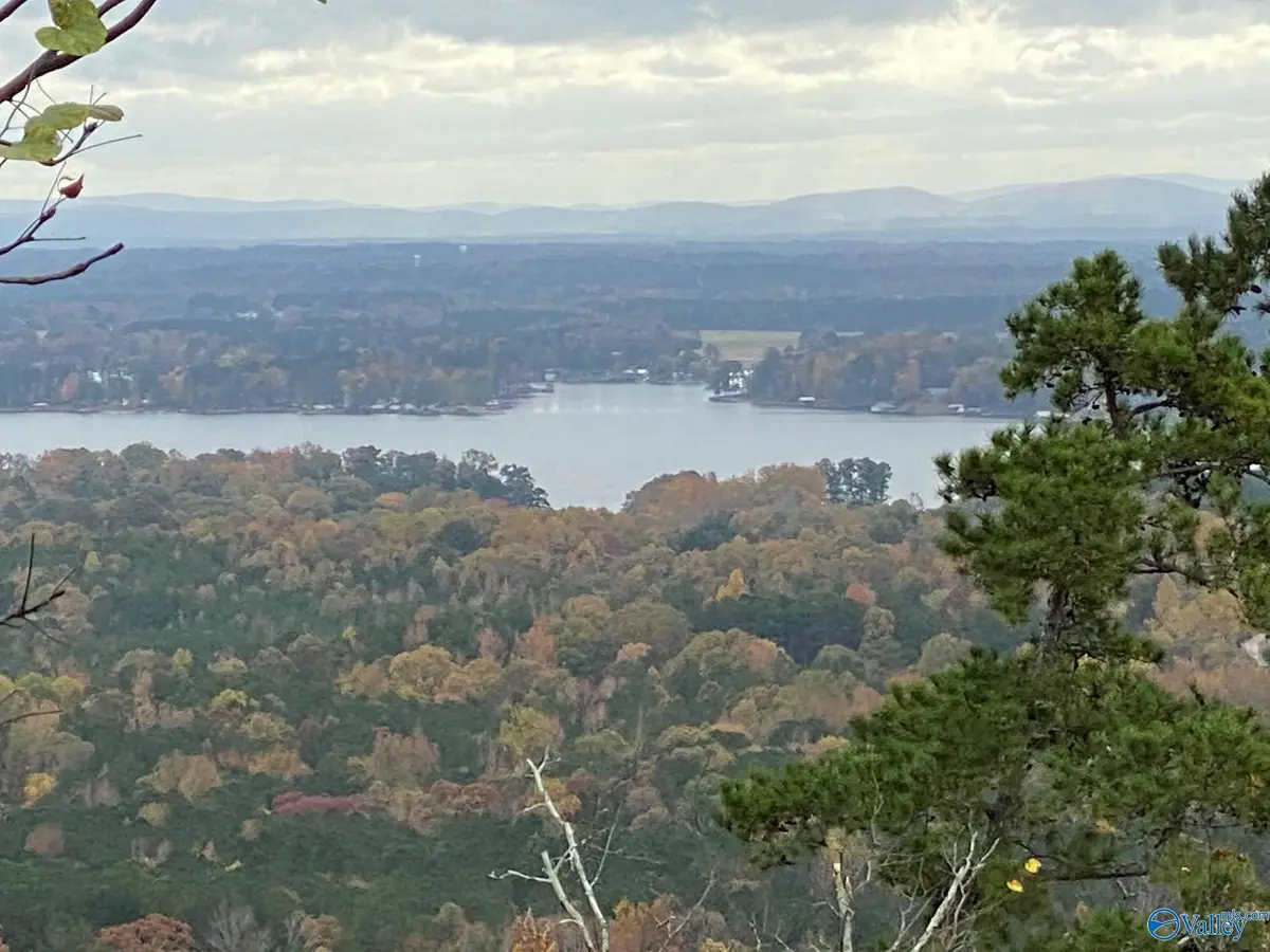 83 Cruickshank Lane, Leesburg, AL 35983 - #1