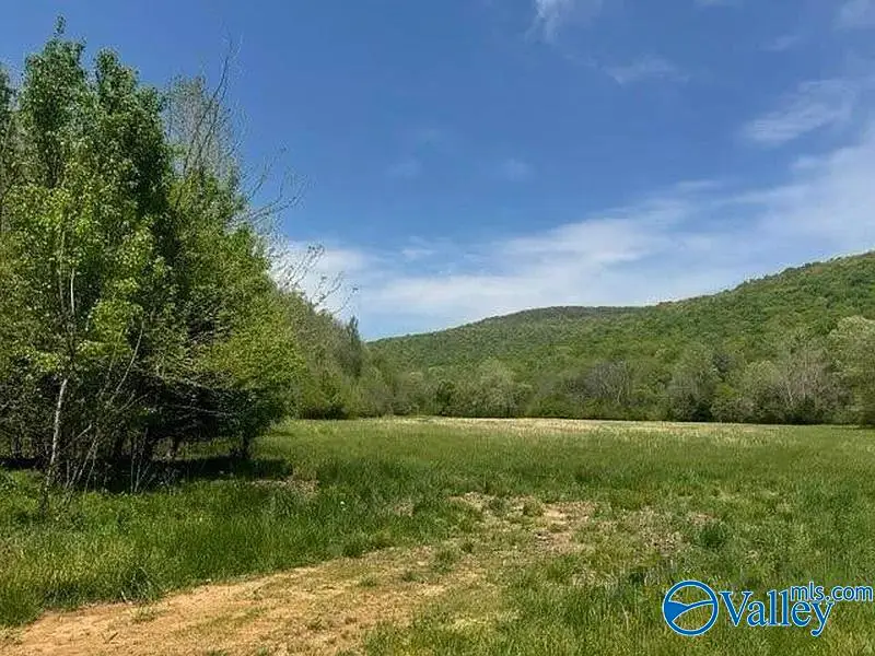 210 Acres County Road 604, Hollytree, AL 35751 - #1