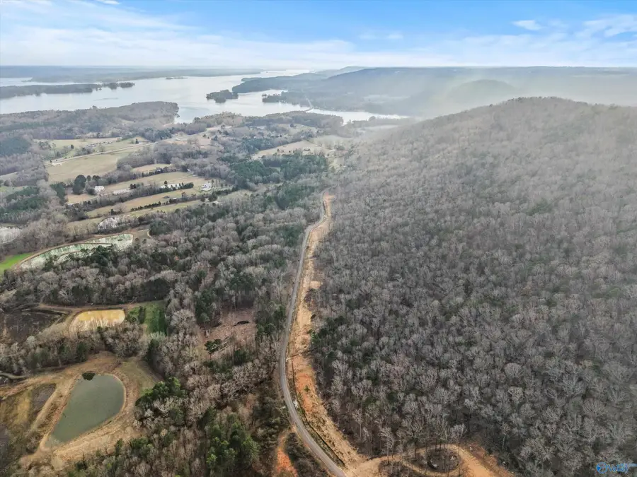 900-B Lot 5 County Road 114, Scottsboro, AL 35769 - #3