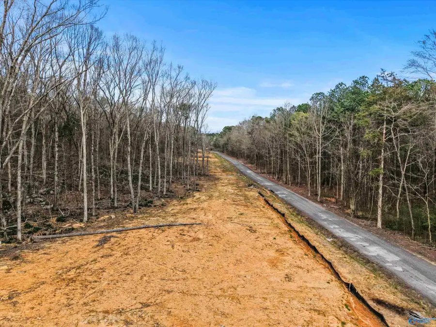 900-B Lot 6 County Road 114, Scottsboro, AL 35769 - #3