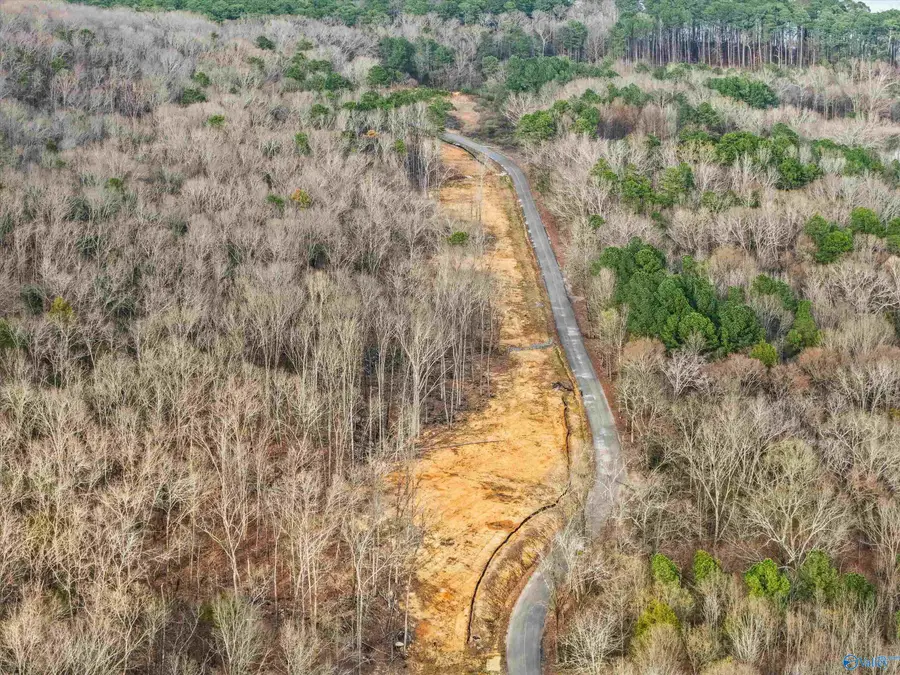 900-B Lot 11 County Road 114, Scottsboro, AL 35769 - #3