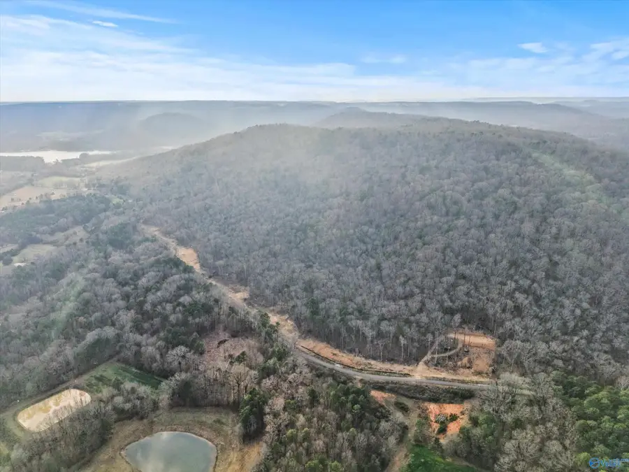 900-B Lot 13 County Road 114, Scottsboro, AL 35769 - #2