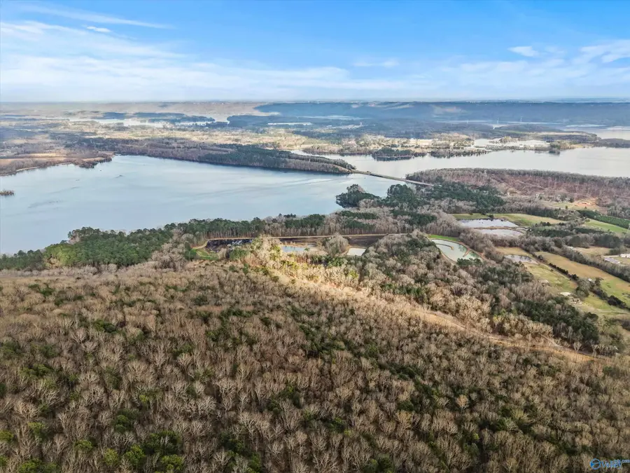 900-B Lot 13 County Road 114, Scottsboro, AL 35769 - #3