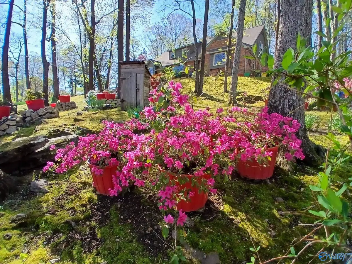 3702 Montevallo Road Sw, Decatur, AL 35603 - #1