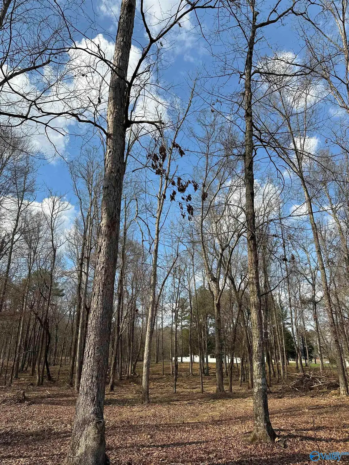 2.5 acres Ghost Hill Road, Trinity, AL 35603 - #1