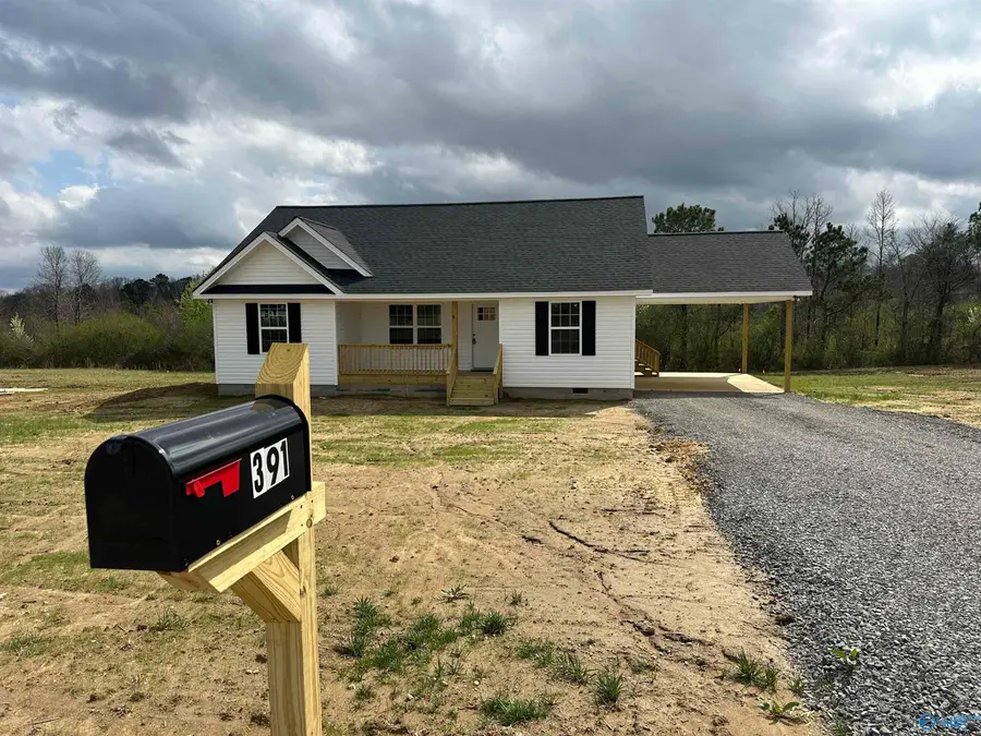 391 County Road 460, Rainsville Sylvania, AL 35967 - #2