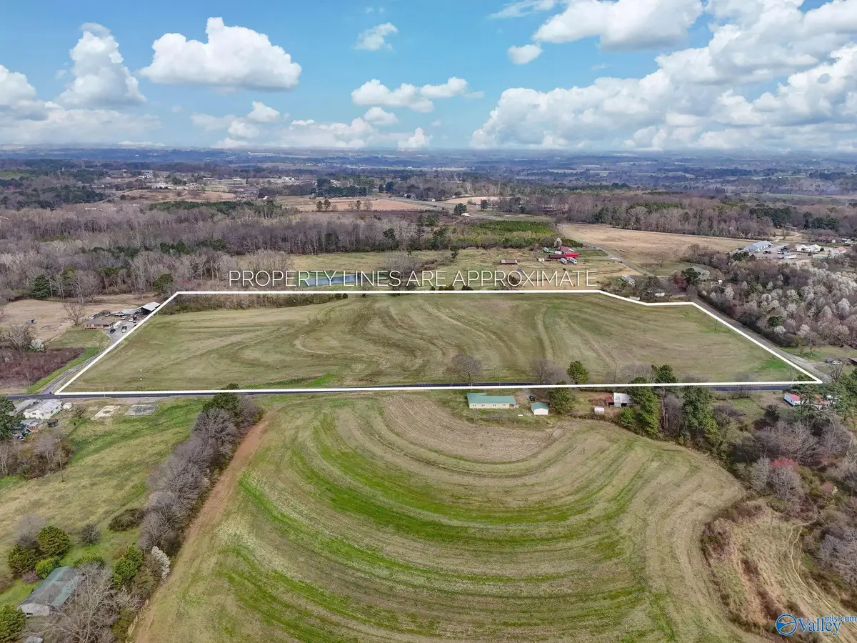 18 Acres Davis Road, Albertville, AL 35951 - #1