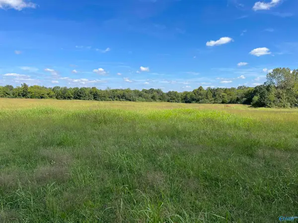 40 Acres County Road 205, Danville, AL 35619