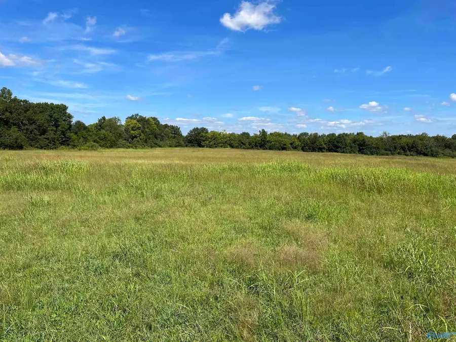 40 Acres County Road 205, Danville, AL 35619 - #3