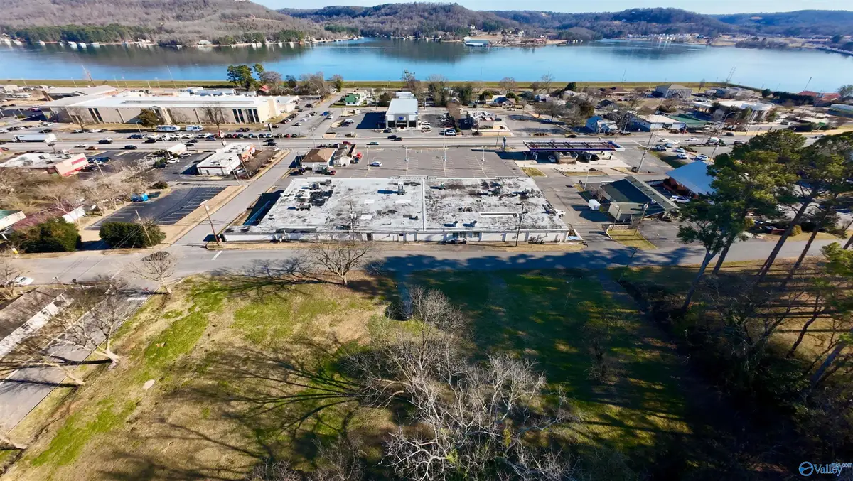 1900 Obrig Avenue, Guntersville, AL 35976 - #1