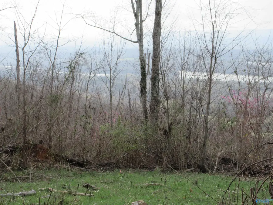 39.28 Highway 117, Stevenson, AL 35772 - #2