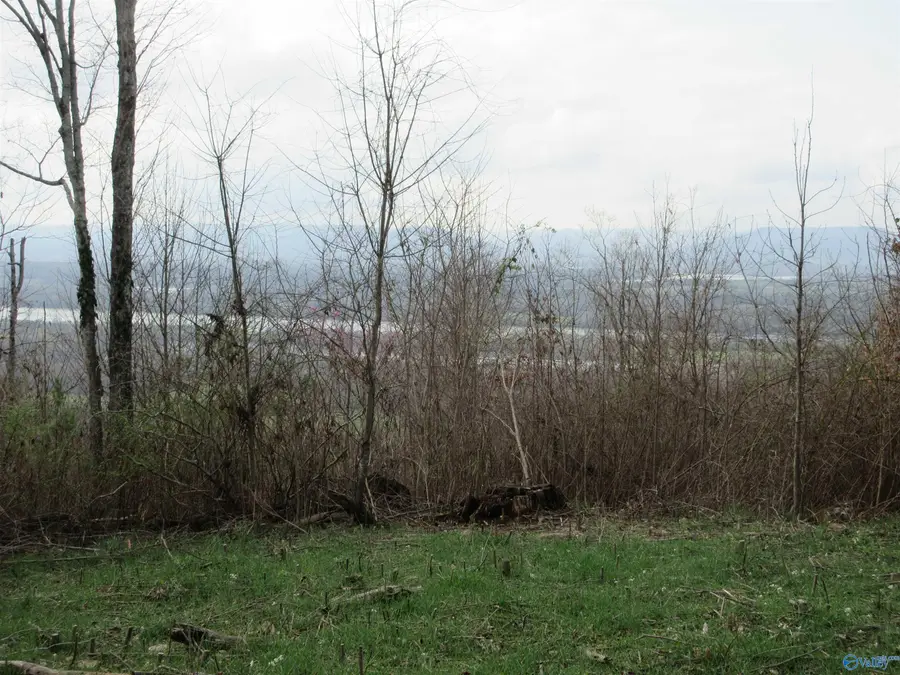 39.28 Highway 117, Stevenson, AL 35772 - #3