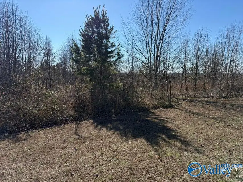 5 AC Castlehill Drive, Bryant, AL 35958 - #2