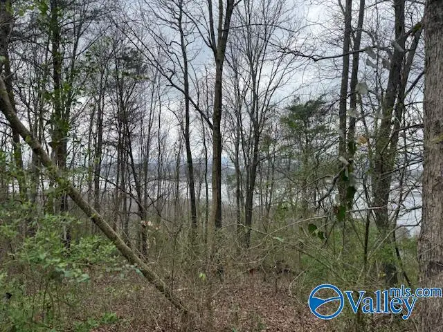 1 Fairfax Drive, Guntersville, AL 35976 - #2