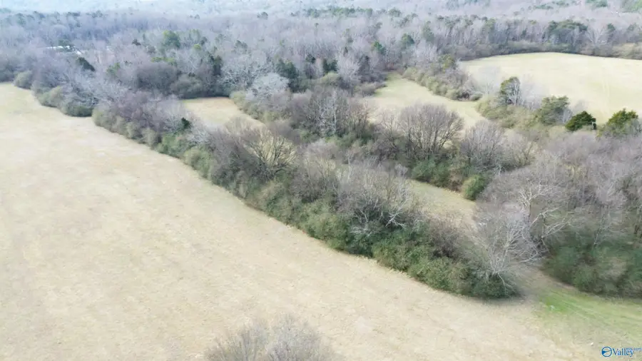 16.7 Swearengin Road, Grant, AL 35747 - #3