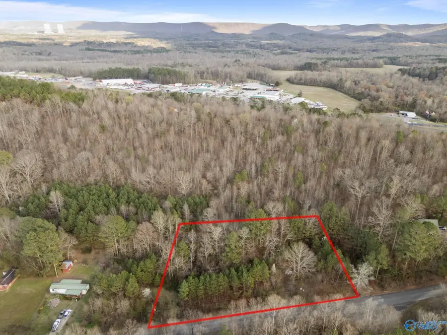 1 Acre George Adams Road, Scottsboro, AL 35758 - #2