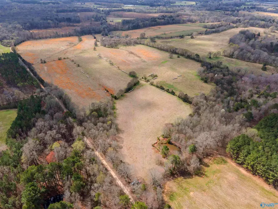 77 acres County Road 136, Town Creek, AL 35672 - #2