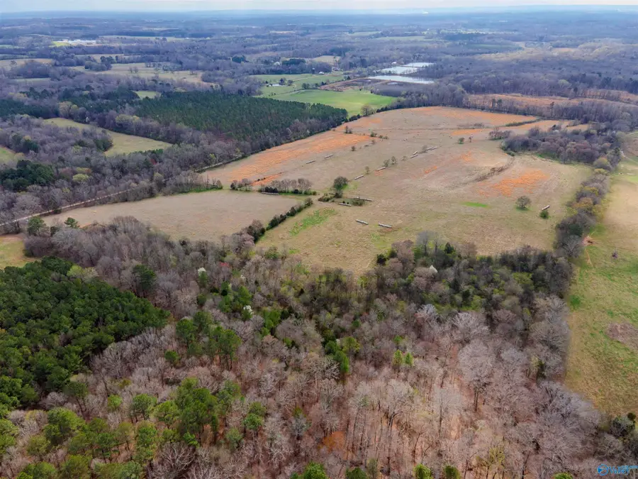 77 acres County Road 136, Town Creek, AL 35672 - #3