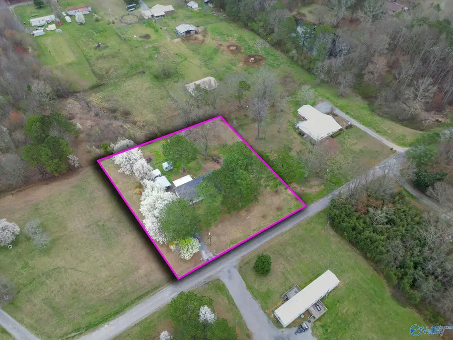 202 Moses Drive, Henagar, AL 35978 - #3