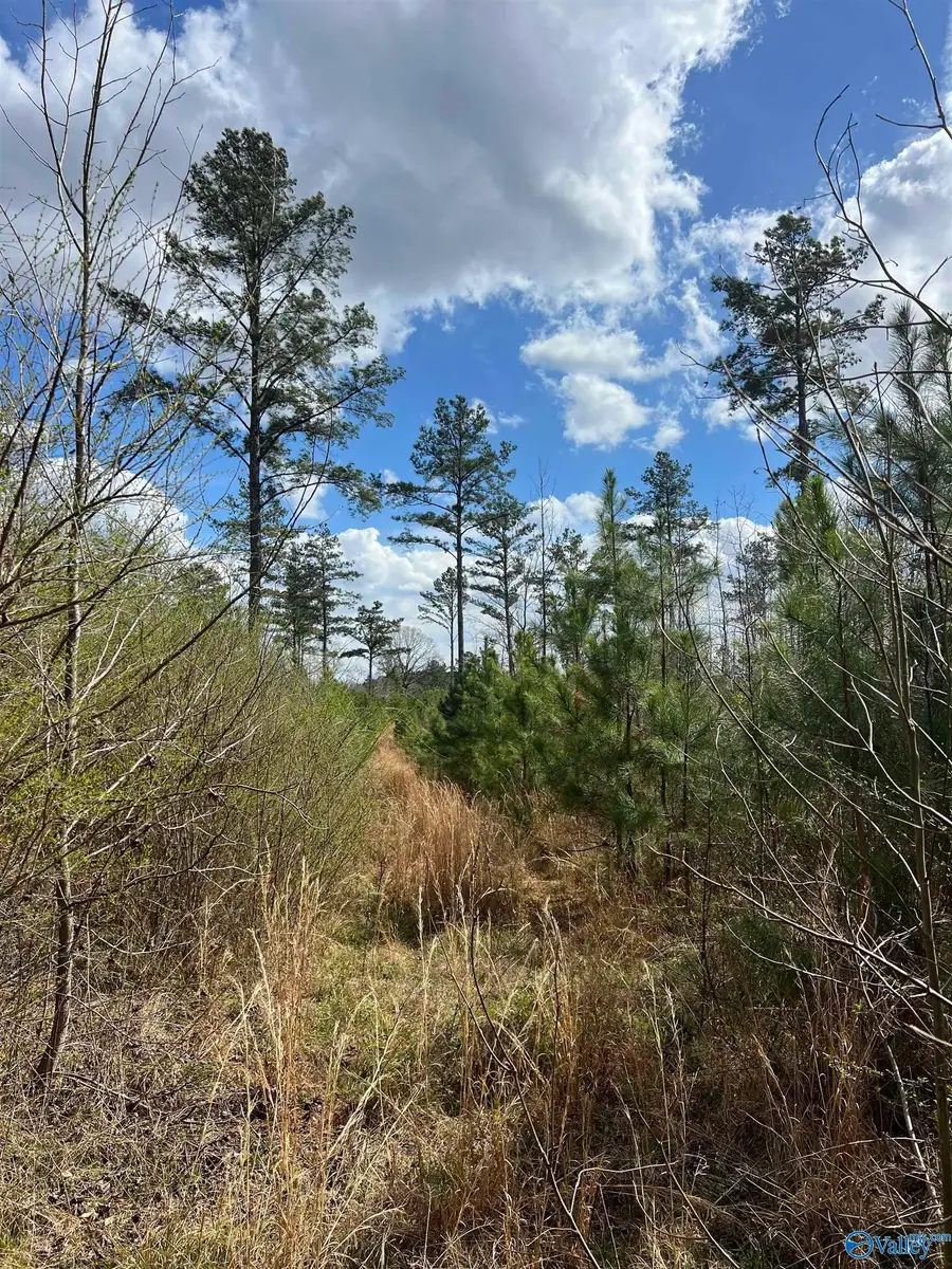 60 Acres Parker Road, Moulton, AL 35650 - #3