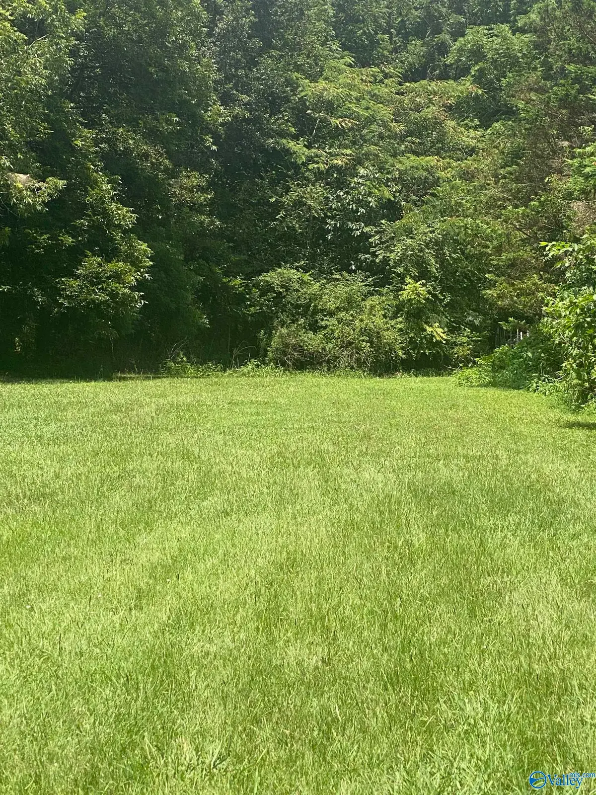 0001 Summerville Road, Boaz, AL 35957 - #1