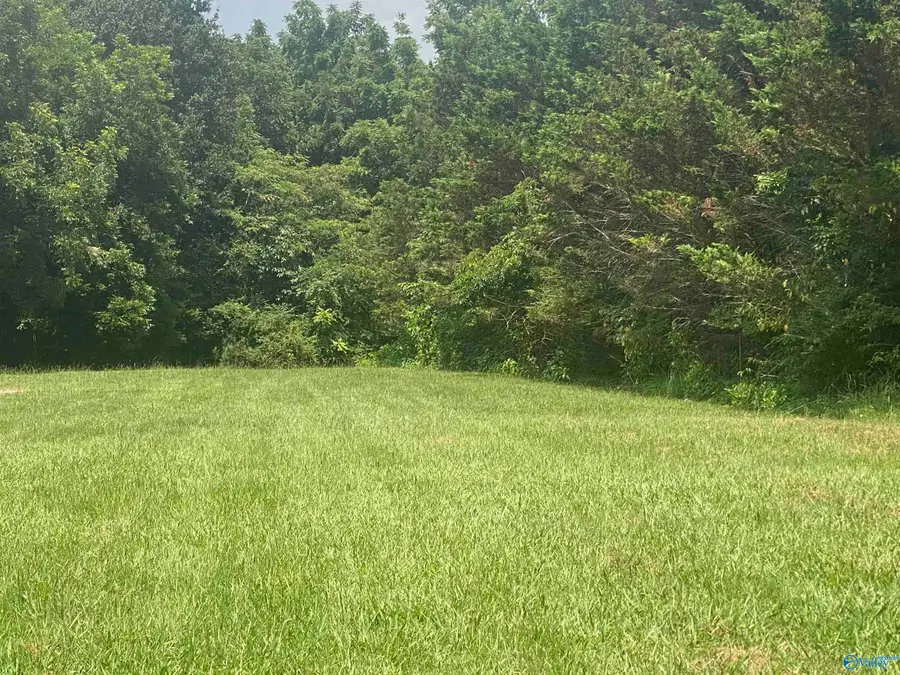 0001 Summerville Road, Boaz, AL 35957 - #3