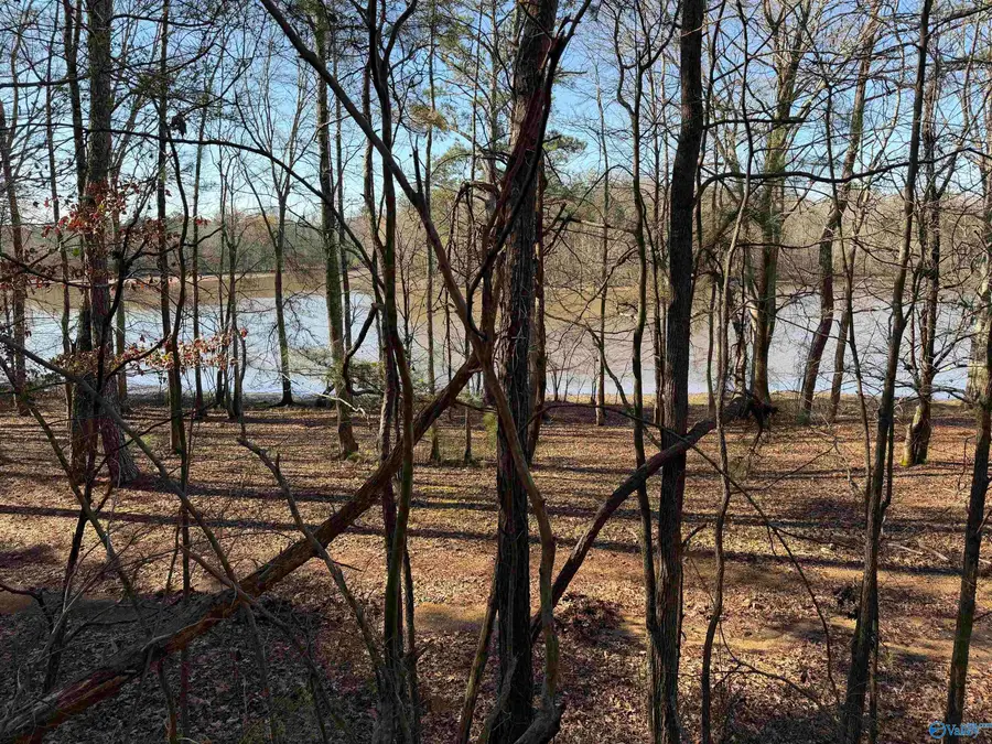 1 County Road 92, Cedar Bluff, AL 35959 - #2