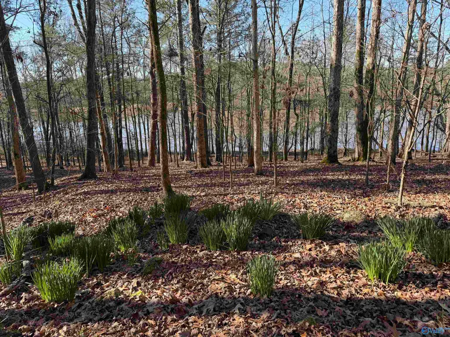 1 County Road 92, Cedar Bluff, AL 35959 - #3