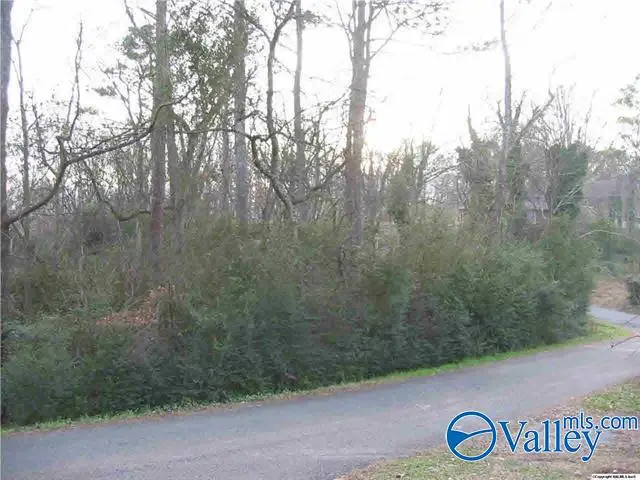 39 Tracy Street, Guntersville, AL 35976 - #1