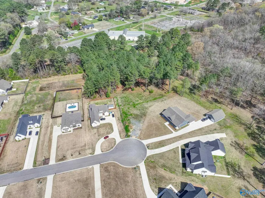 183 Spring Creek Cove, Guntersville, AL 35976 - #3