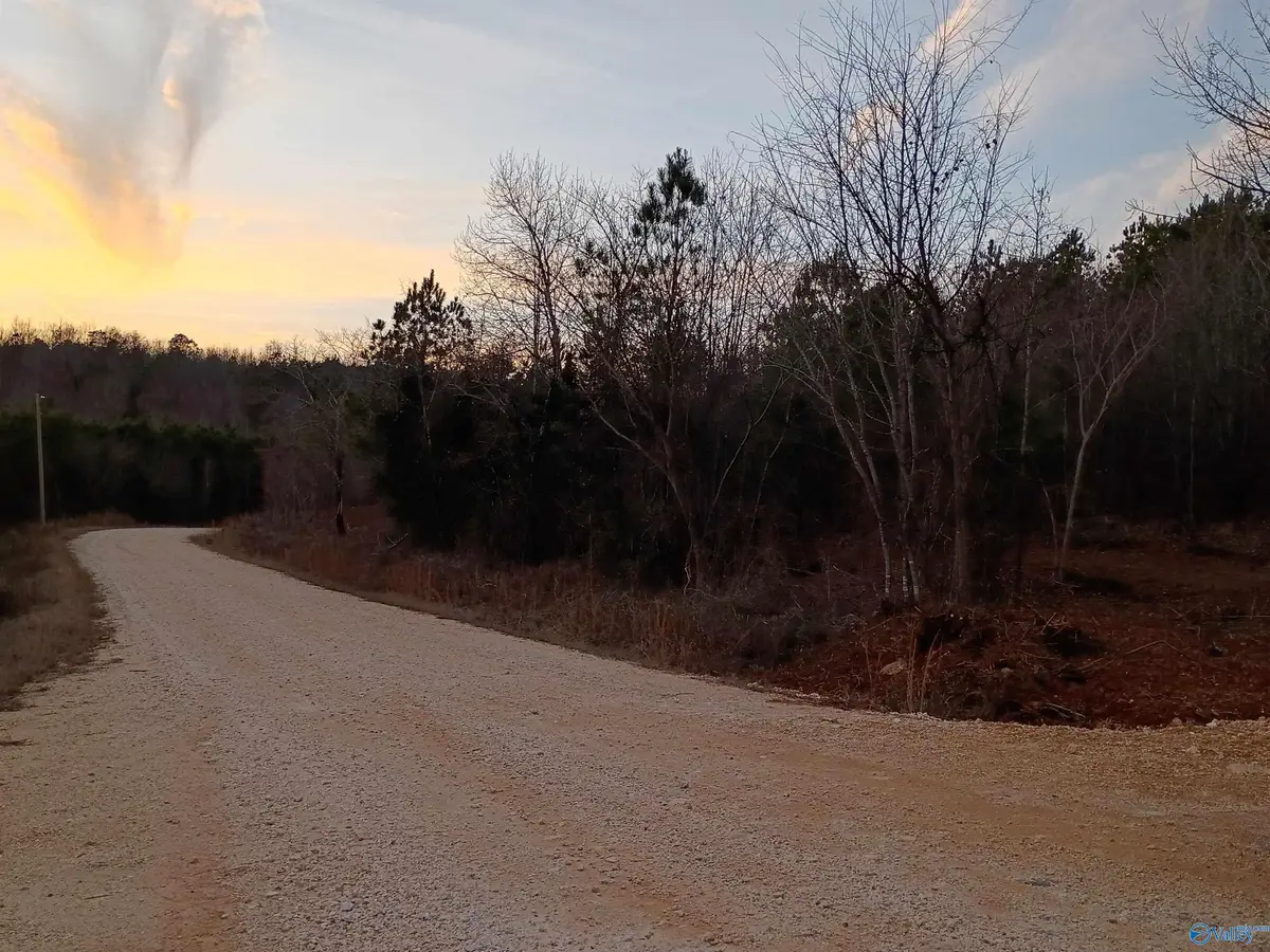Tract 3 County Road 176, Piedmont, AL 36272 - #1
