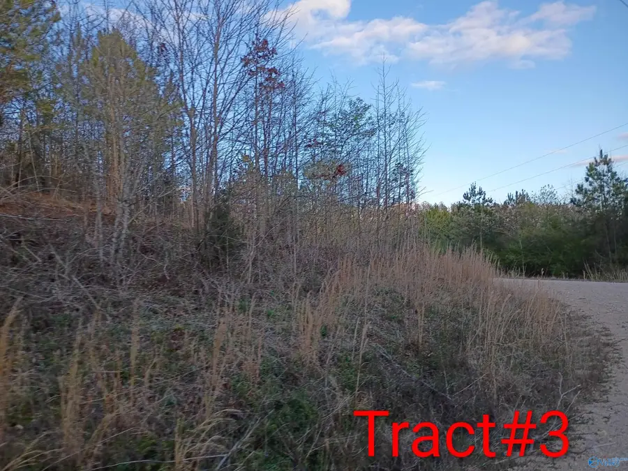 Tract 3 County Road 176, Piedmont, AL 36272 - #2