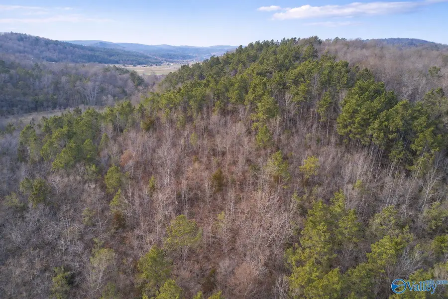 Tract 3 County Road 176, Piedmont, AL 36272 - #3