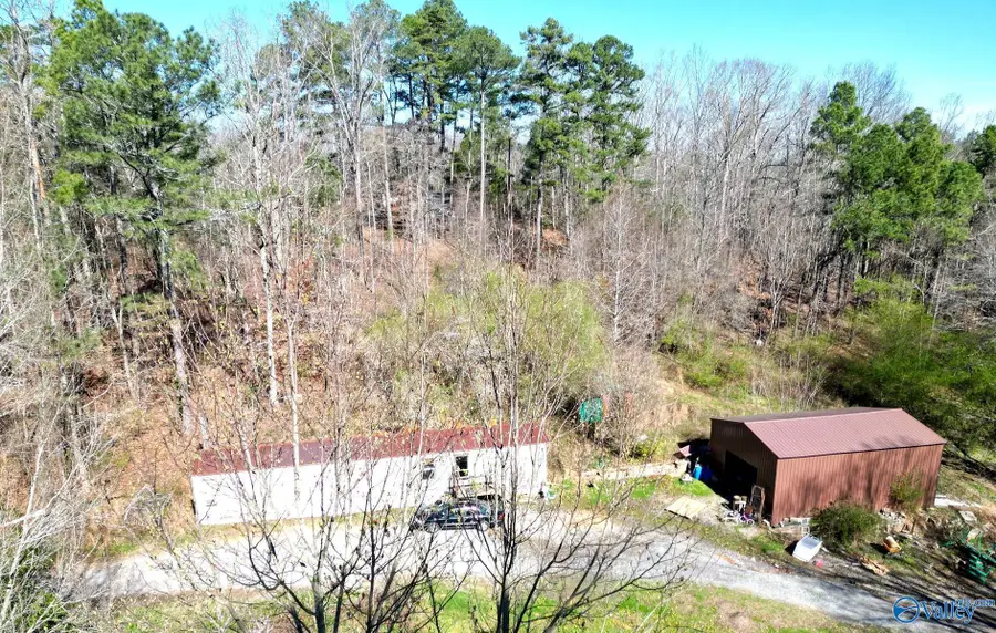 431 Rice Road, Grant, AL 35747 - #3