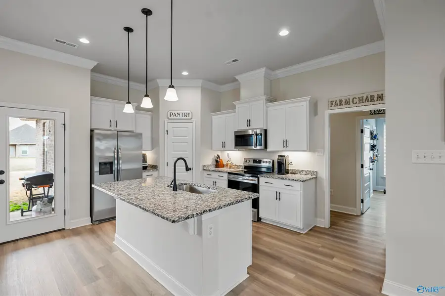 24454 Bekah Lane, Toney, AL 35773 - #3