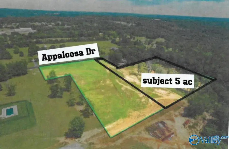5 acres Appaloosa Drive, Albertville, AL 35951 - #3
