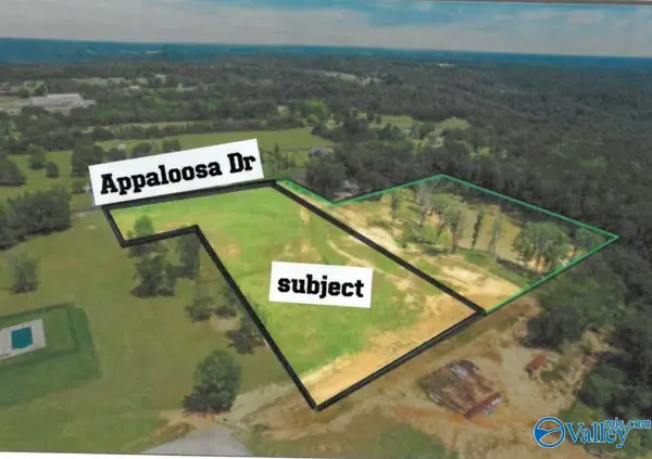4.85 Appaloosa Drive, Albertville, AL 35951