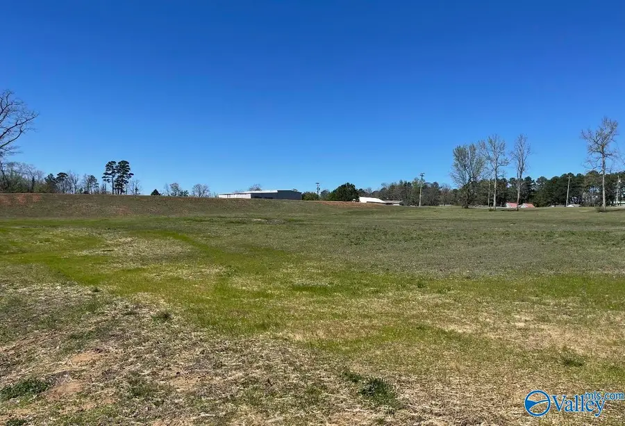 4.85 Appaloosa Drive, Albertville, AL 35951 - #3