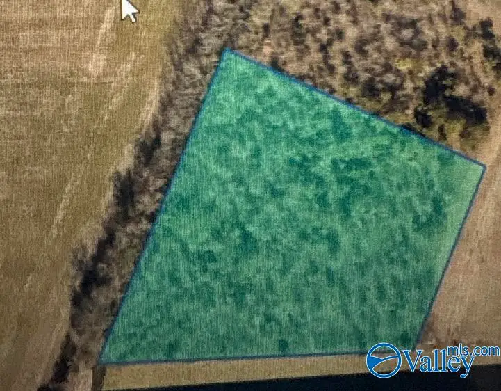 LOT2 Croom Circle, Leighton, AL 35646 - #1